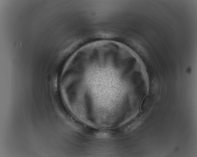 X0000089460358200707061308