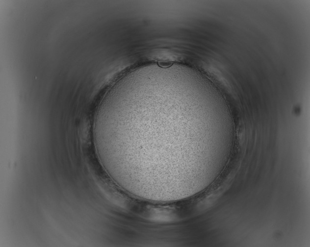 X0000089460359200707061308