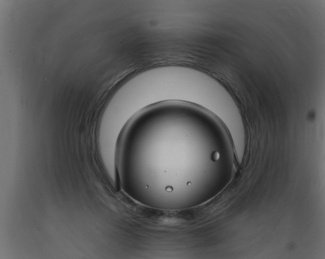 X0000089460360200707061308