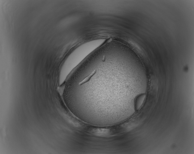 X0000089460361200707061308