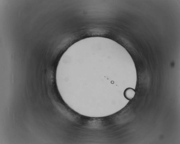 X0000089460362200707061308