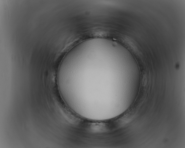 X0000089460363200707061308