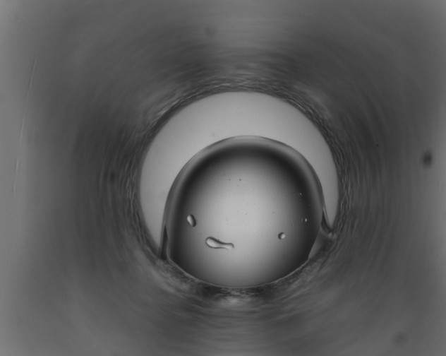 X0000089460364200707061308