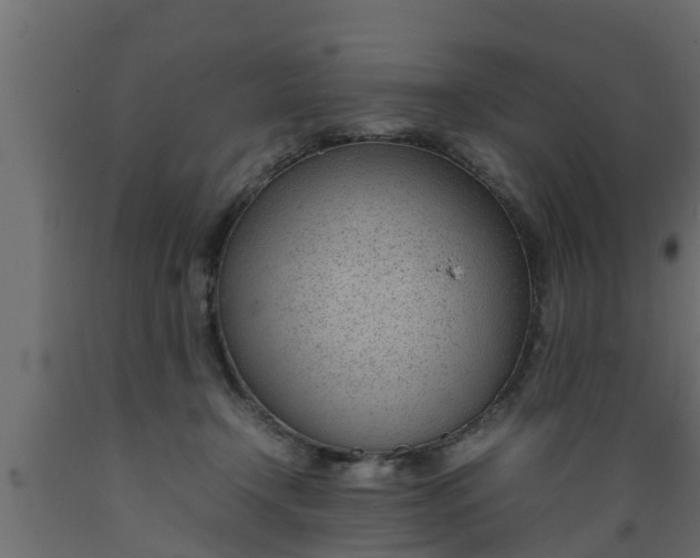 X0000089460366200707061308
