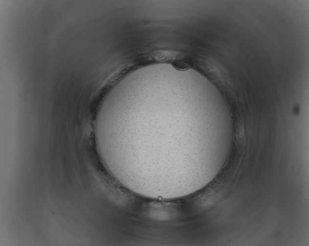 X0000089460367200707061308