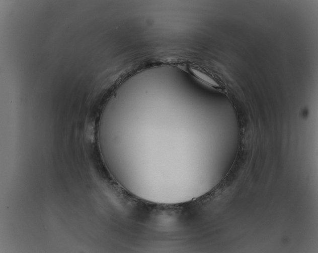 X0000089460368200707061308