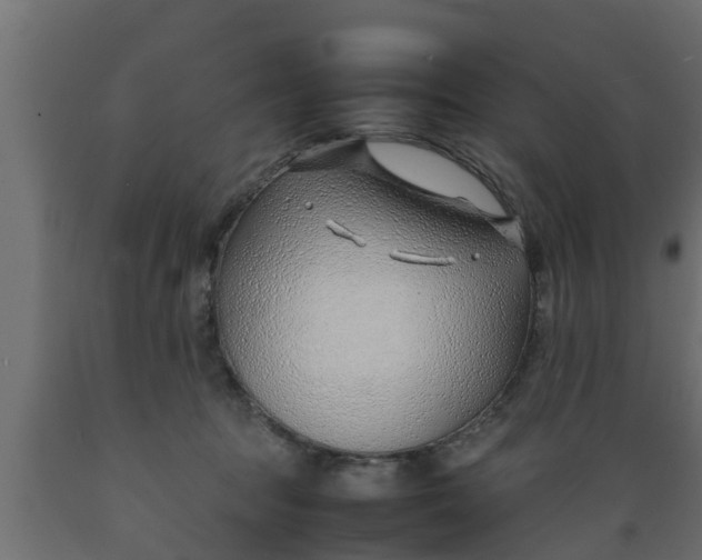 X0000089460369200707061308