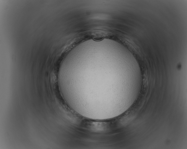 X0000089460371200707061308