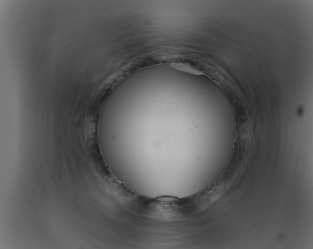 X0000089460372200707061308