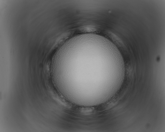 X0000089460373200707061308