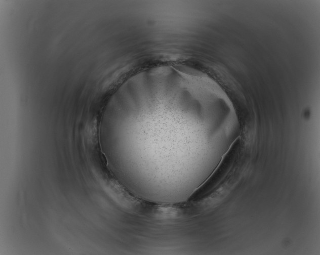 X0000089460376200707061308