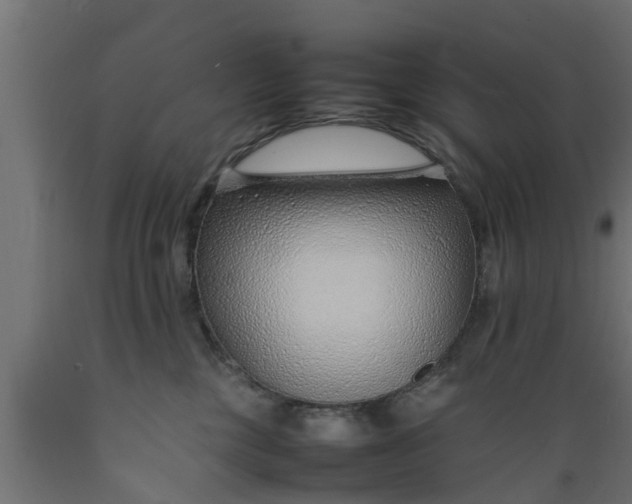 X0000089460377200707061308