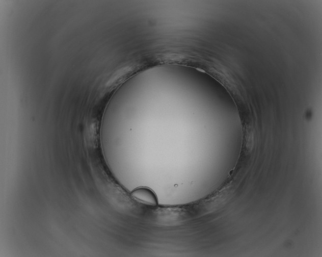 X0000089460378200707061308