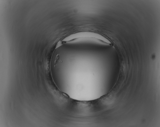 X0000089460380200707061308