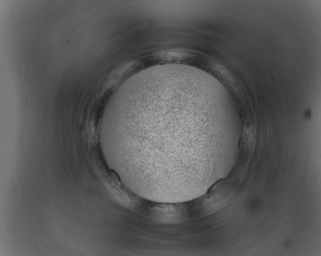 X0000089460381200707061308