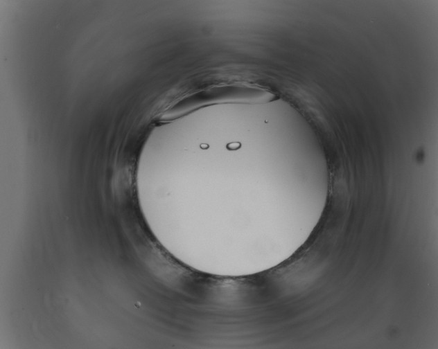 X0000089460382200707061308