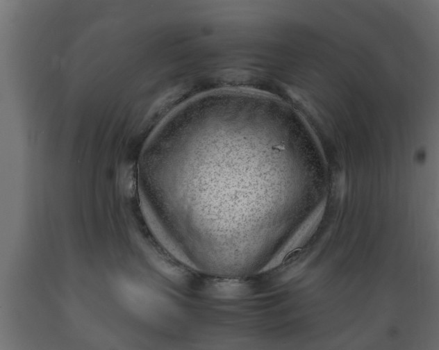 X0000089460383200707061308