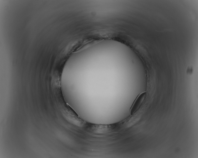 X0000089460384200707061308