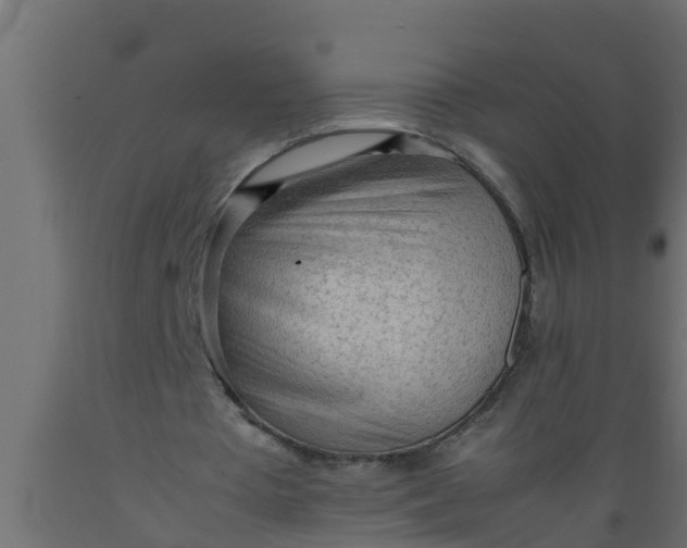 X0000089460385200707061307