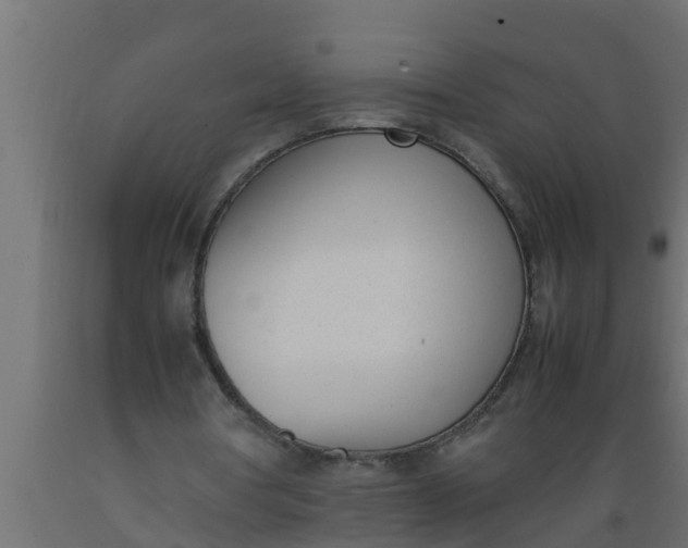 X0000089460386200707061307