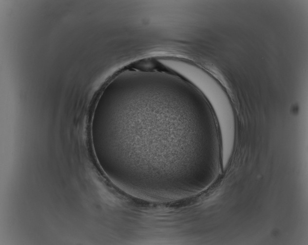 X0000089460387200707061307