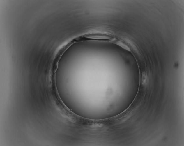 X0000089460388200707061307