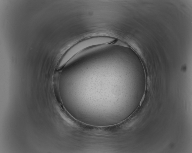 X0000089460389200707061307