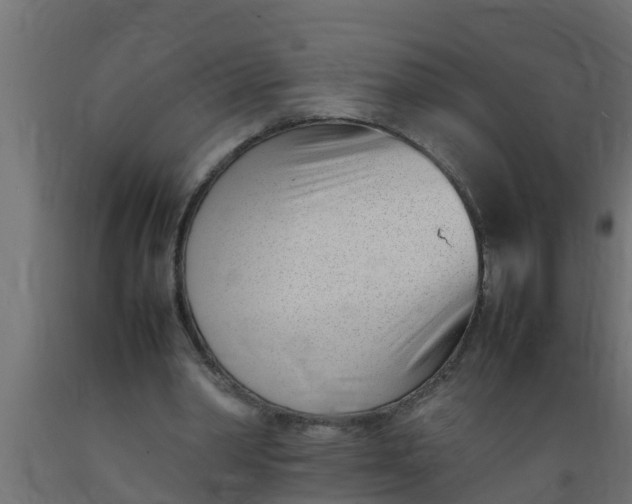 X0000089460390200707061307