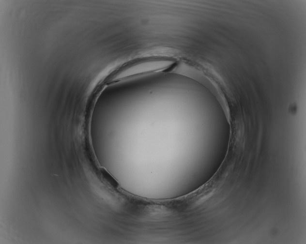 X0000089460392200707061307