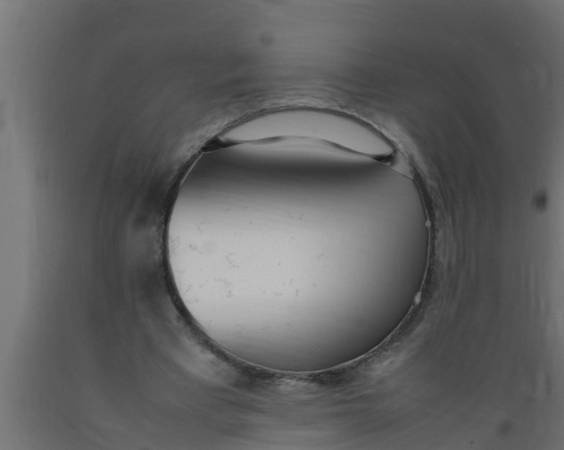 X0000089460393200707061307