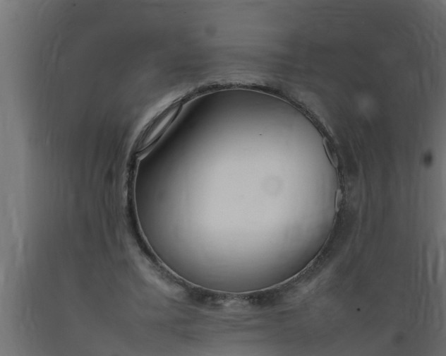 X0000089460395200707061307