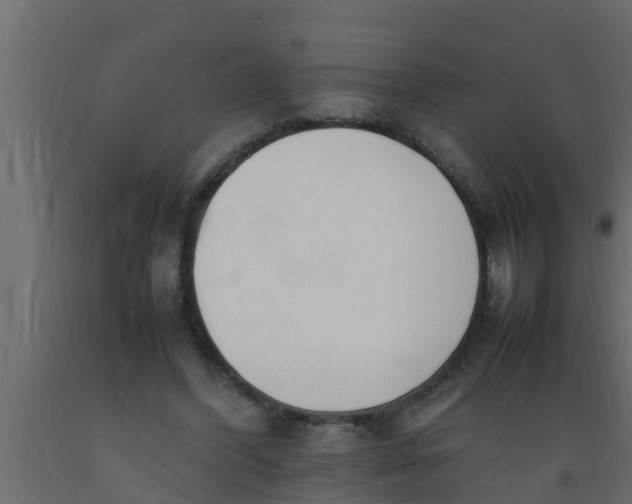 X0000089460396200707061307