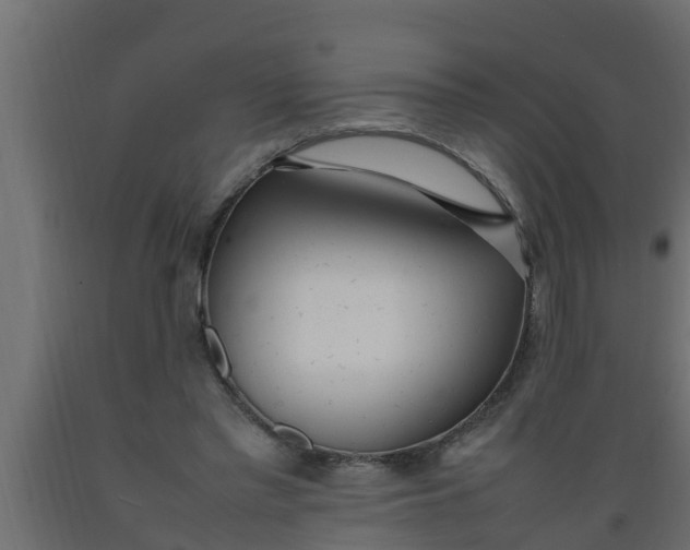 X0000089460397200707061307