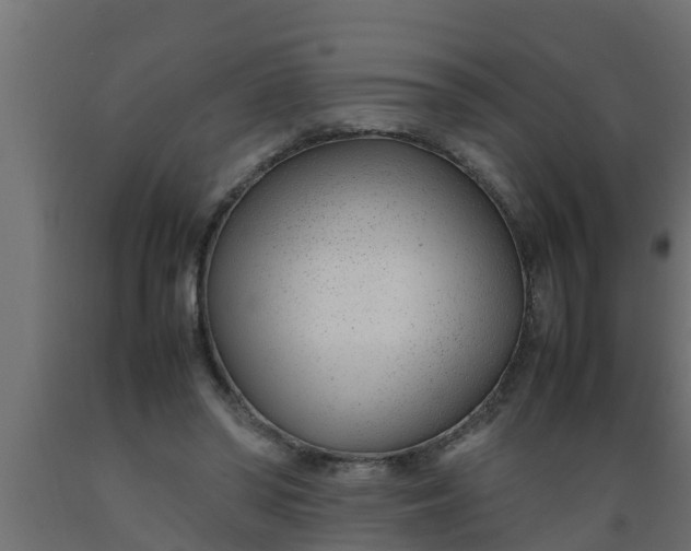 X0000089460398200707061307