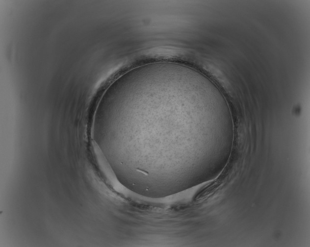 X0000089460399200707061307