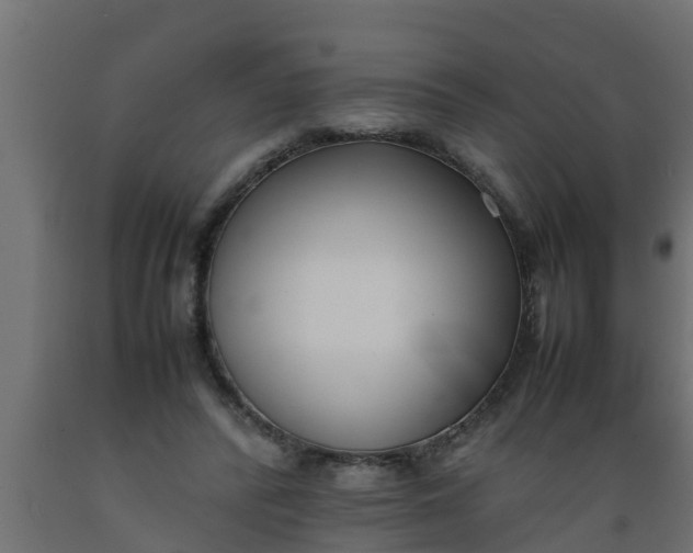 X0000089460400200707061307