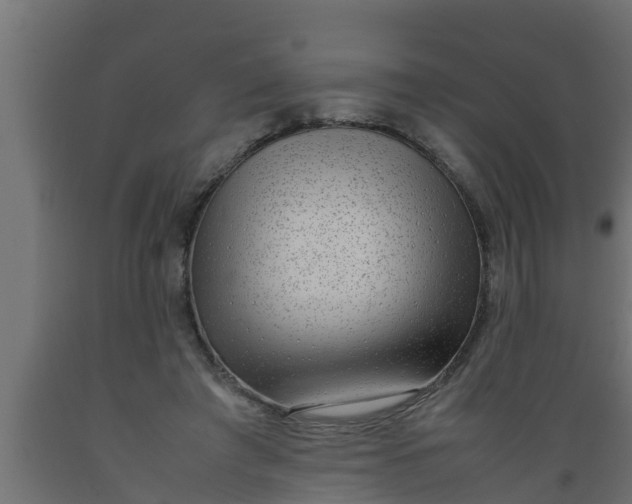 X0000089460401200707061307