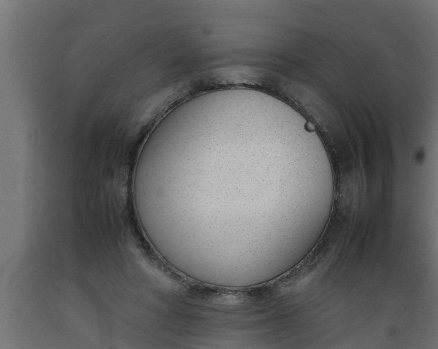 X0000089460402200707061307