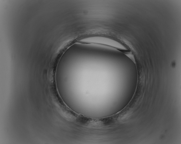 X0000089460403200707061307