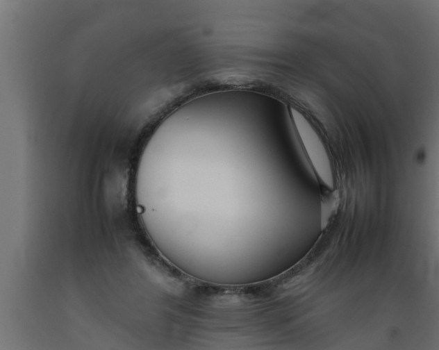 X0000089460404200707061307