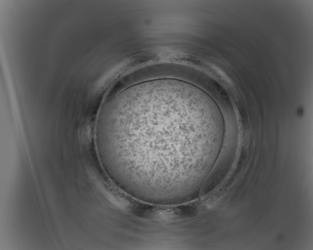 X0000089460405200707061307