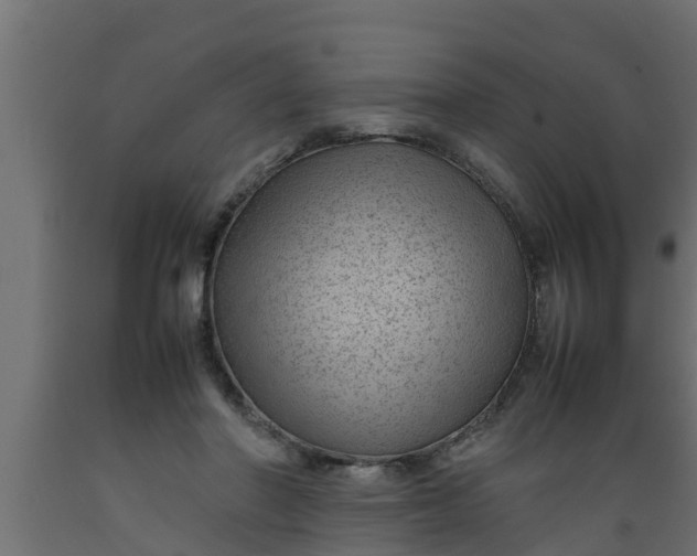 X0000089460406200707061307