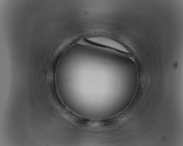 X0000089460407200707061307
