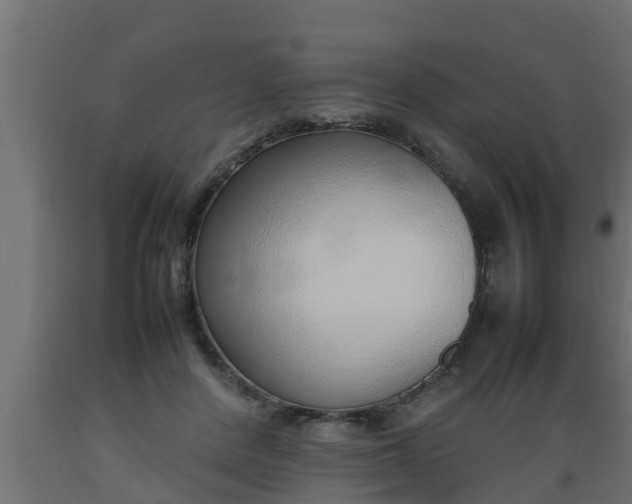 X0000089460408200707061307