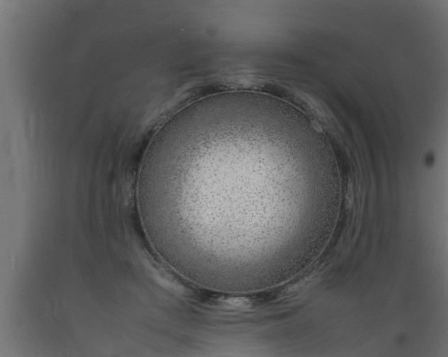 X0000089460409200707061307