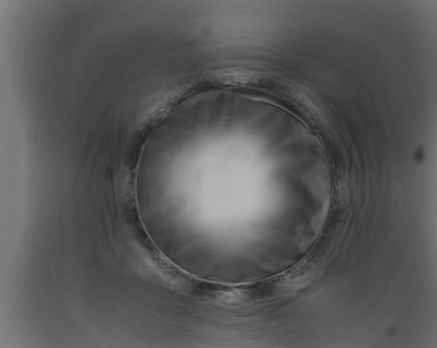 X0000089460411200707061307