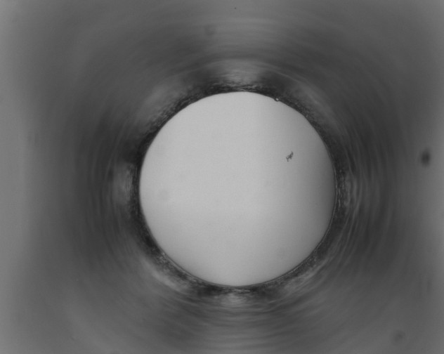 X0000089460412200707061307
