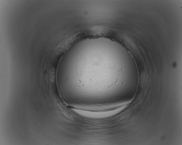 X0000089460413200707061307