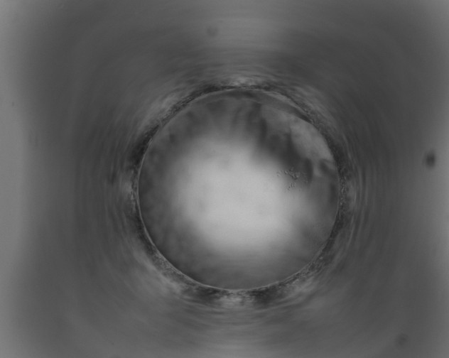 X0000089460415200707061307