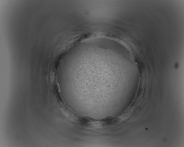 X0000089460417200707061307